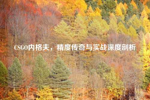 CSGO内格夫，精度传奇与实战深度剖析