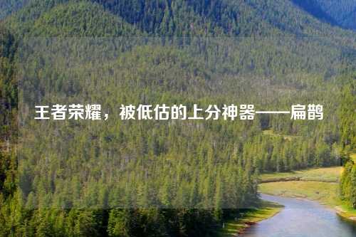 王者荣耀，被低估的上分神器——扁鹊