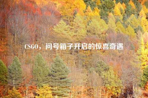 CSGO，问号箱子开启的惊喜奇遇