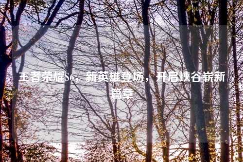 王者荣耀S6，新英雄登场，开启峡谷崭新篇章