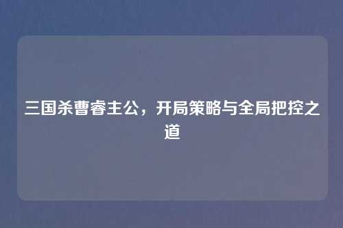 三国杀曹睿主公，开局策略与全局把控之道