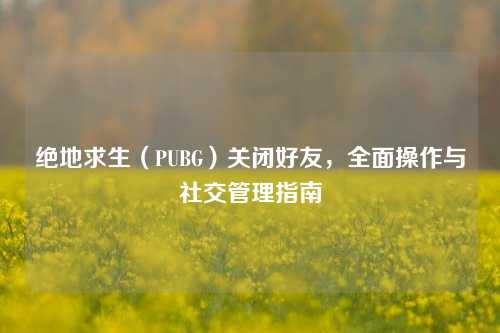 绝地求生（PUBG）关闭好友，全面操作与社交管理指南
