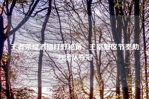 王者荣耀酒桶打野秘籍，主宰野区节奏助力团队夺冠