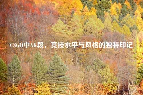 CSGO中AK段，竞技水平与风格的独特印记