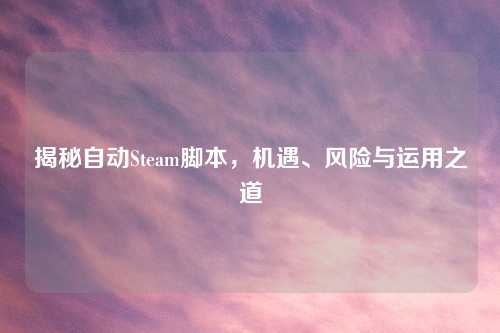 揭秘自动Steam脚本，机遇、风险与运用之道