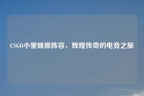 CSGO小蜜蜂原阵容，辉煌传奇的电竞之旅