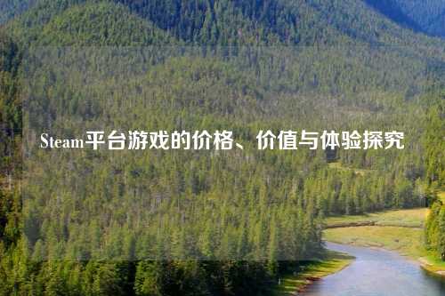 Steam平台游戏的价格、价值与体验探究