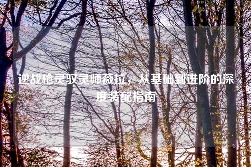 逆战枪灵驭灵师薇拉，从基础到进阶的深度装配指南