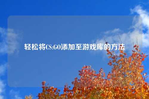 轻松将CS:GO添加至游戏库的方法
