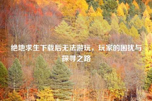 绝地求生下载后无法游玩，玩家的困扰与探寻之路