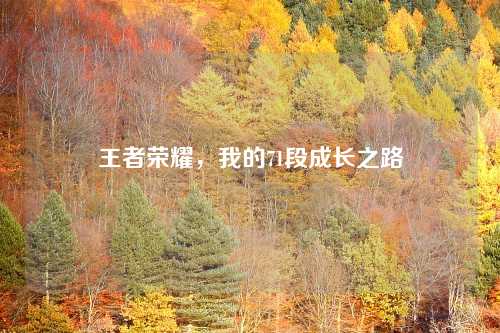 王者荣耀，我的71段成长之路