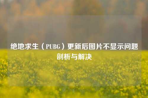 绝地求生（PUBG）更新后图片不显示问题剖析与解决