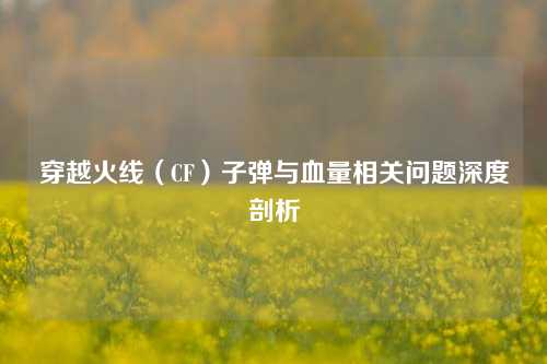 穿越火线（CF）子弹与血量相关问题深度剖析