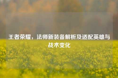 王者荣耀，法师新装备解析及适配英雄与战术变化