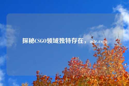 探秘CSGO领域独特存在，aite.csgo