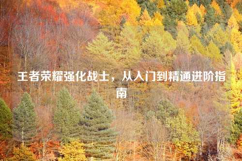 王者荣耀强化战士，从入门到精通进阶指南