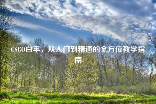 CSGO白羊，从入门到精通的全方位教学指南