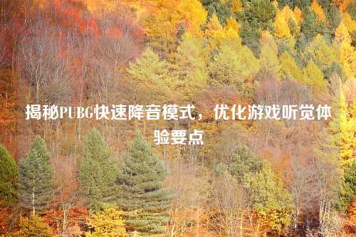 揭秘PUBG快速降音模式，优化游戏听觉体验要点