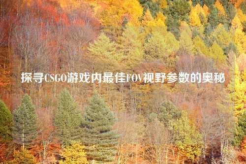 探寻CSGO游戏内最佳FOV视野参数的奥秘