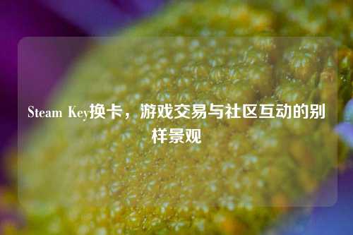 Steam Key换卡，游戏交易与社区互动的别样景观
