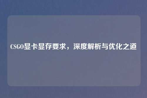 CSGO显卡显存要求，深度解析与优化之道