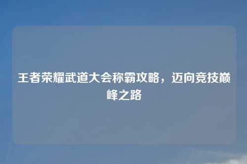 王者荣耀武道大会称霸攻略，迈向竞技巅峰之路