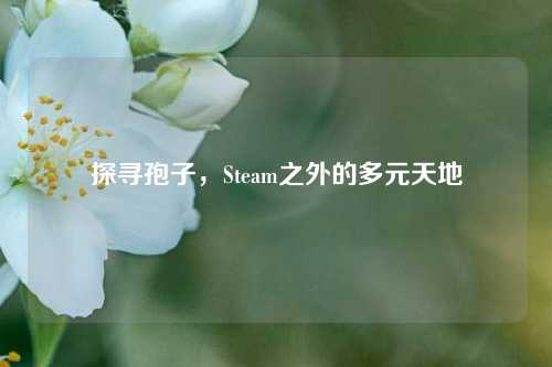 探寻孢子，Steam之外的多元天地