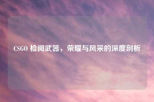 CSGO 检阅武器，荣耀与风采的深度剖析