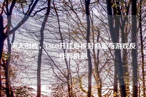 深入剖析，CSGO开挂后被封命运与游戏反作弊机制