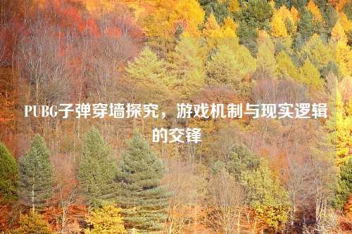 PUBG子弹穿墙探究，游戏机制与现实逻辑的交锋