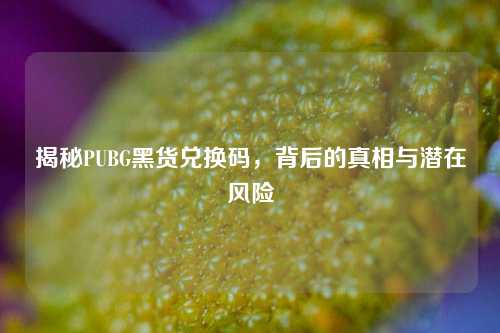 揭秘PUBG黑货兑换码，背后的真相与潜在风险