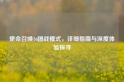 使命召唤16团战模式，详细指南与深度体验探寻