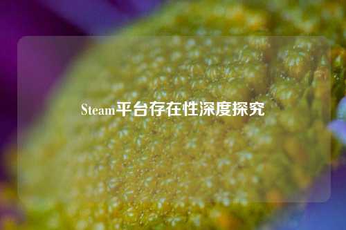 Steam平台存在性深度探究
