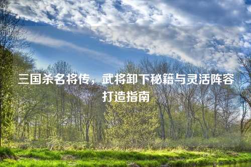 三国杀名将传，武将卸下秘籍与灵活阵容打造指南
