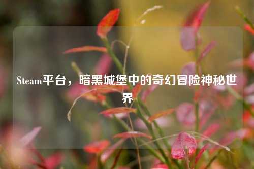 Steam平台，暗黑城堡中的奇幻冒险神秘世界