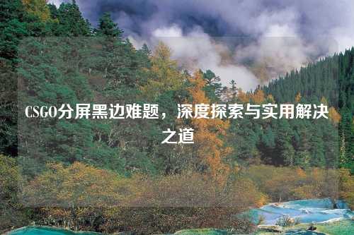 CSGO分屏黑边难题，深度探索与实用解决之道