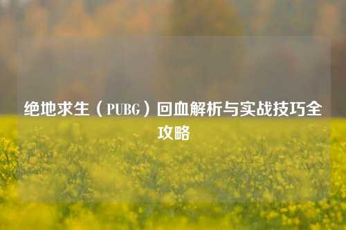 绝地求生（PUBG）回血解析与实战技巧全攻略