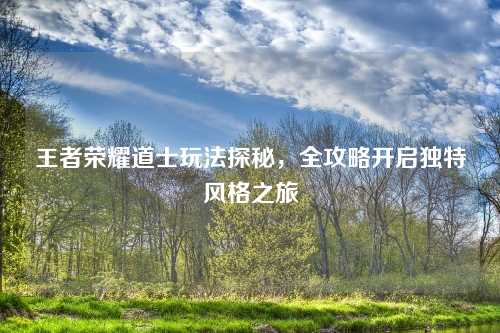 王者荣耀道士玩法探秘，全攻略开启独特风格之旅