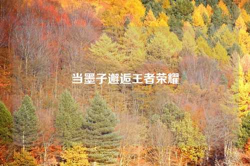 当墨子邂逅王者荣耀