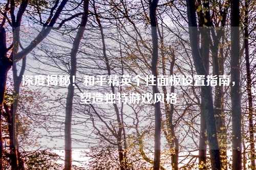 深度揭秘!和平精英个性面板设置指南,塑造独特游戏风格