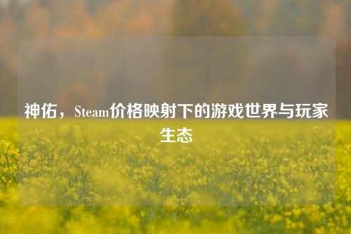 神佑，Steam价格映射下的游戏世界与玩家生态