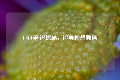 CSGO延迟探秘，追寻理想数值