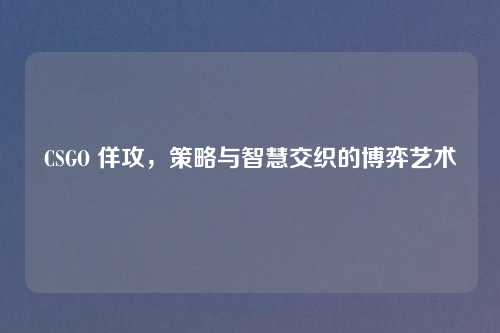 CSGO 佯攻，策略与智慧交织的博弈艺术
