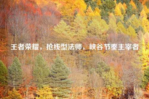 王者荣耀，抢线型法师，峡谷节奏主宰者