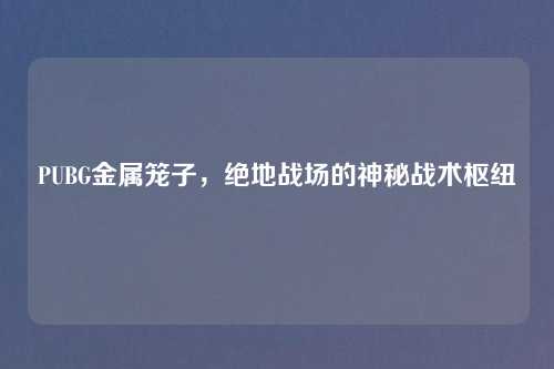 PUBG金属笼子，绝地战场的神秘战术枢纽