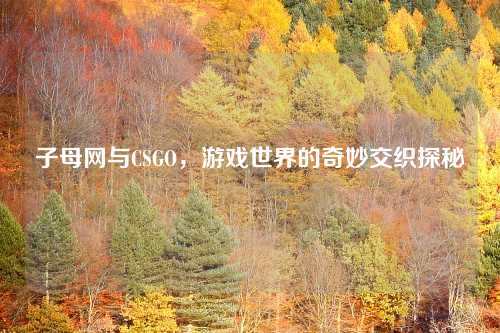子母网与CSGO，游戏世界的奇妙交织探秘