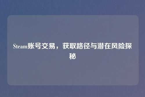Steam账号交易,获取路径与潜在风险探秘
