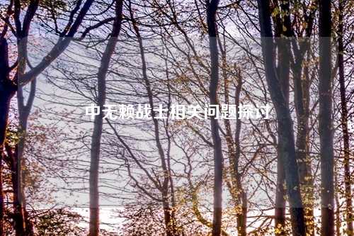 中无赖战士相关问题探讨