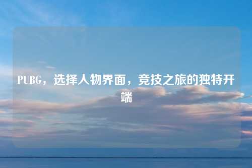 PUBG，选择人物界面，竞技之旅的独特开端